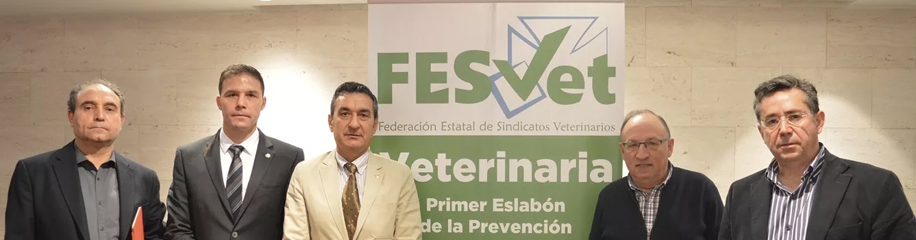 Presentación  de la Federación Estatal de Sindicatos Veterinarios - FESVET