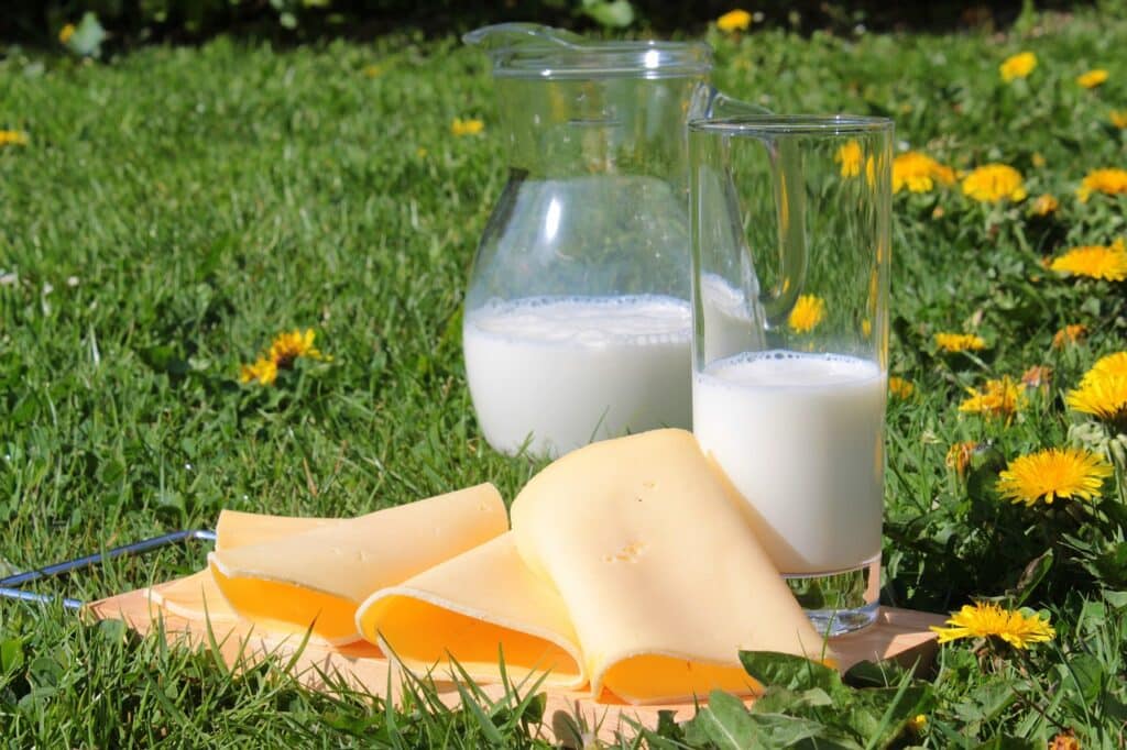 Leche y productos lácteos