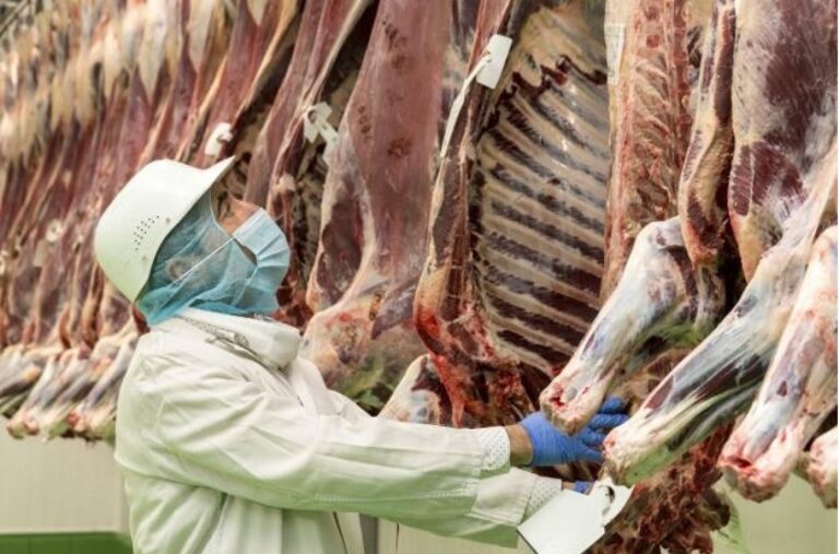 FESVET se opone frontalmente a la creación de la figura del Auxiliar Oficial de la Inspección Veterinaria.