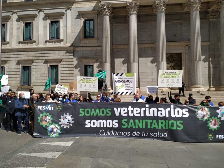 Más de 3000 manifestantes recorrieron las calles de Madrid bajo el lema “somos sanitarios, somos veterinarios”.