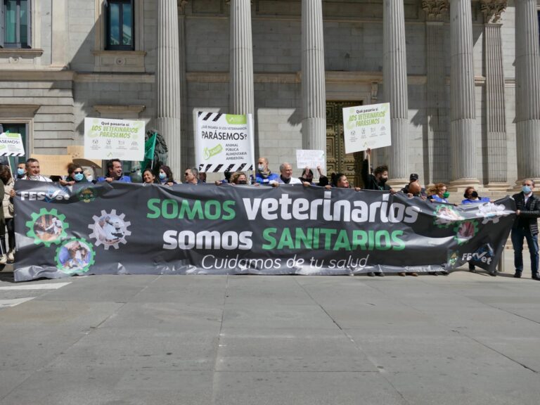 Fesvet solicita una reunión con la ministra Carolina Darias para abordar las reivindicaciones de los veterinarios.