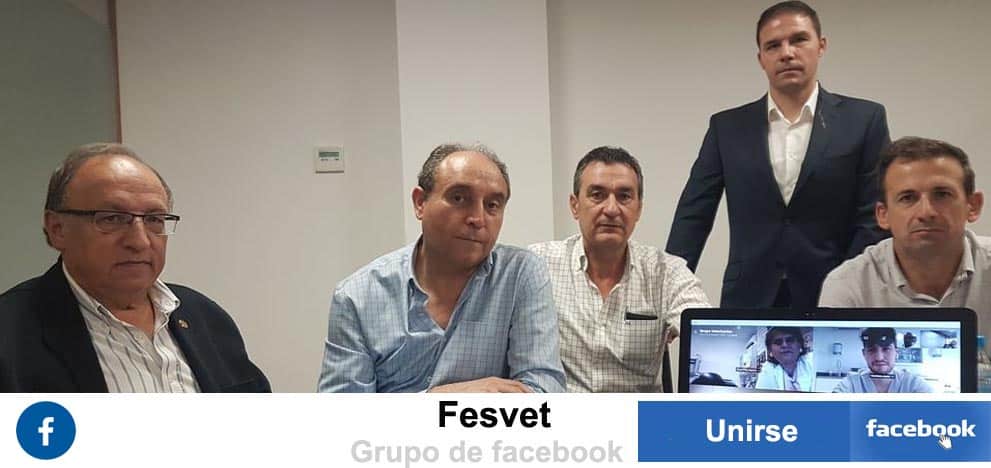 Grupo Fesvet Facebook