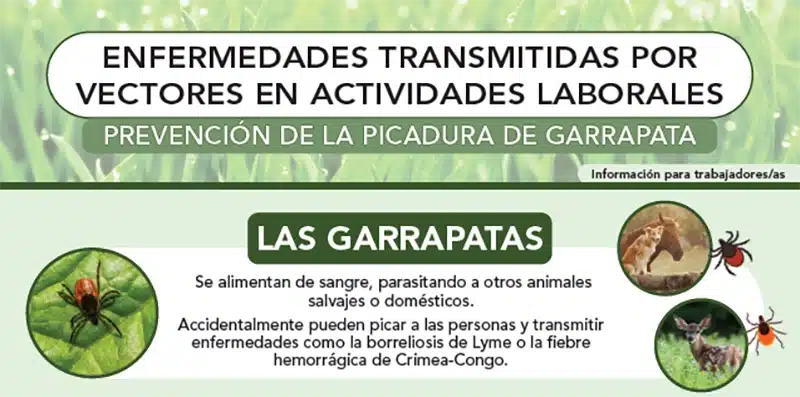 Enfermedades transmitidas por vectores en actividades laborales