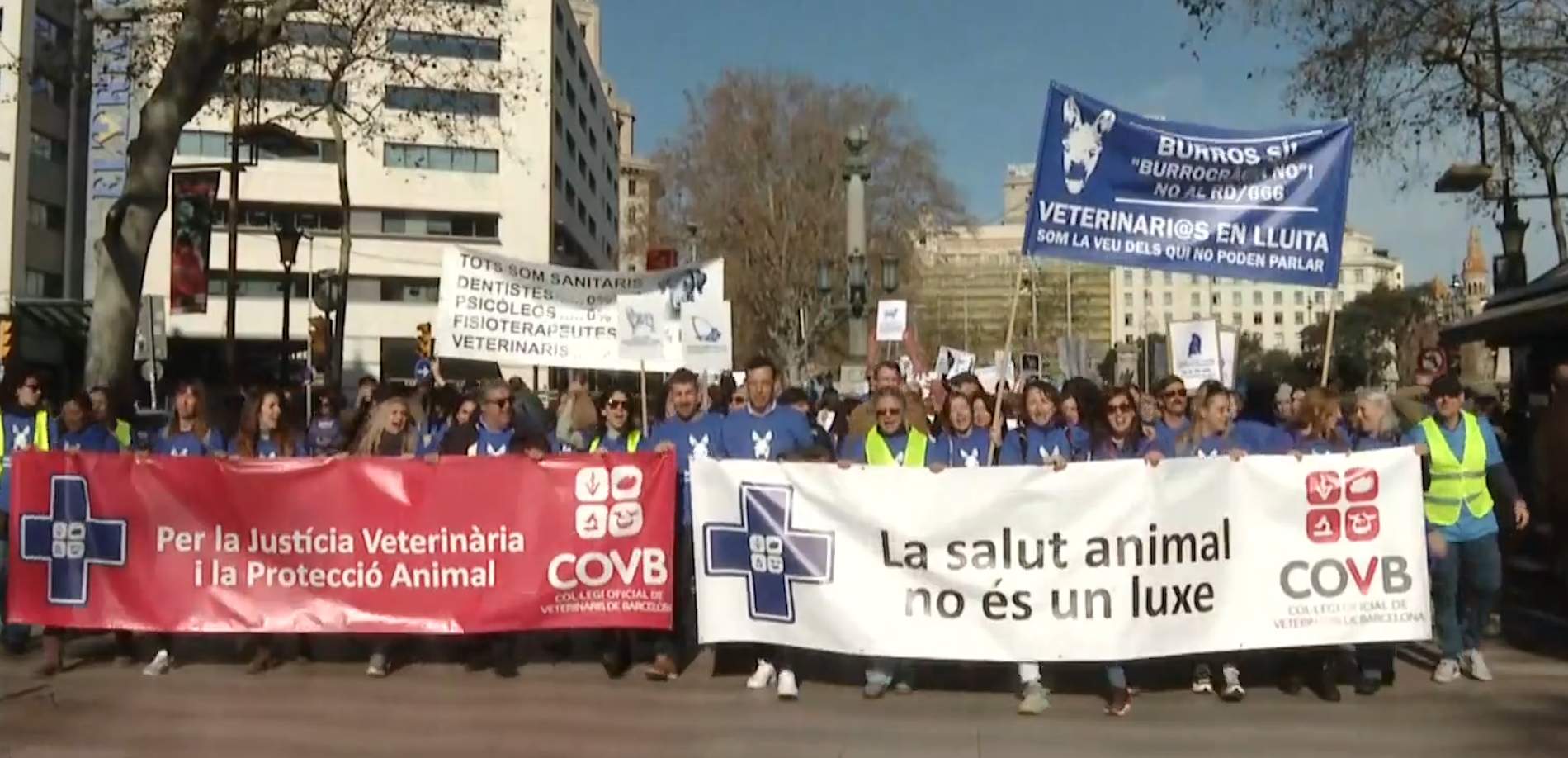 Manifestación en Barcelona contra un decreto que solo dificulta la prescripción de medicamentos veterinarios