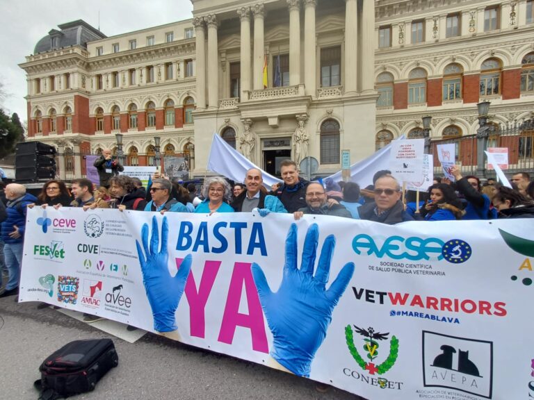 Fesvet pide a la OCVE aplazar la manifestación del 18 de febrero y votar a favor de derogar el 666/2023