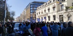 Veterinarios  en toda España, se manifiestan frente a las delegaciones del Gobierno contra el RD 666/23 