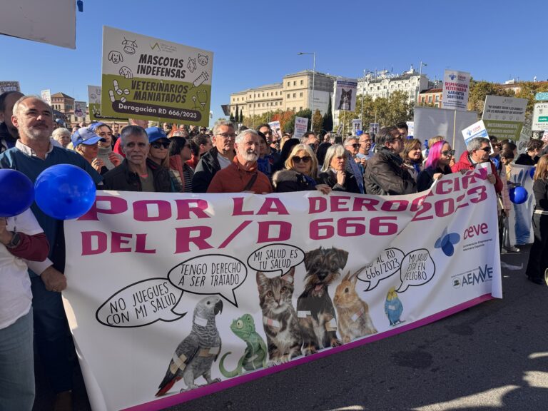 Aplazada hasta marzo la manifestación convocada para el 18 de febrero ante el Congreso