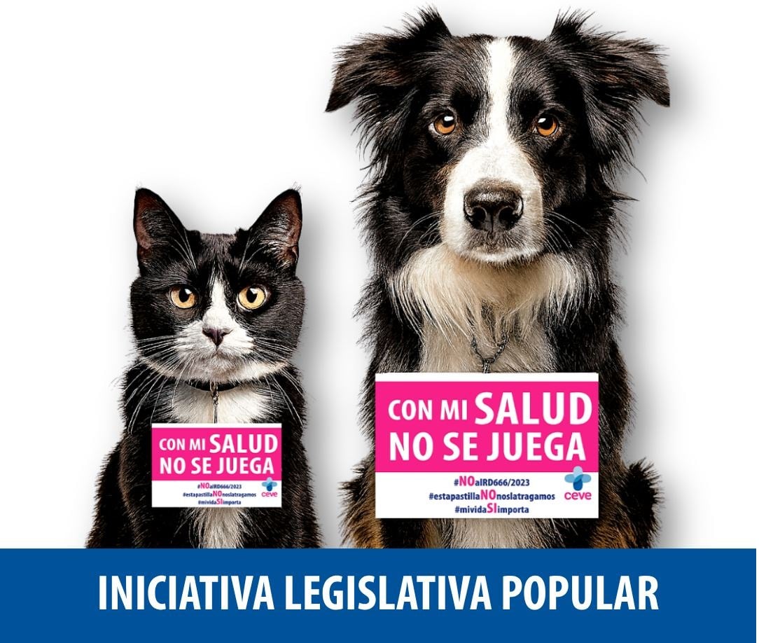 Vídeo de apoyo a la ILP de Ceve