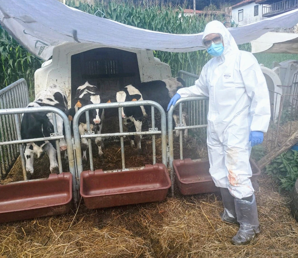 La inspección de trabajo da la razón a los veterinarios del Principado