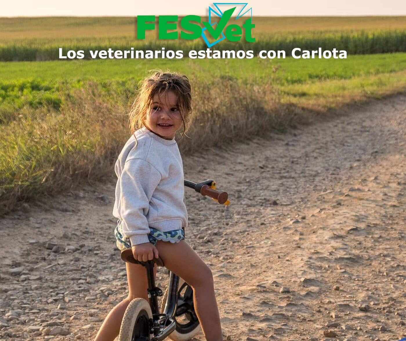 El Camino de Carlota: La ciencia tiene la respuesta y solo falta la unión de todos